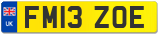 FM13 ZOE