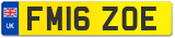 FM16 ZOE