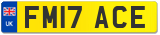 FM17 ACE