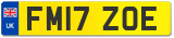 FM17 ZOE