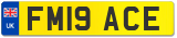 FM19 ACE