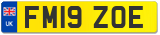 FM19 ZOE