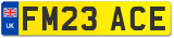 FM23 ACE