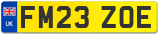 FM23 ZOE