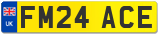 FM24 ACE