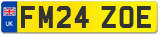 FM24 ZOE