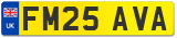 FM25 AVA