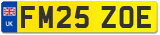 FM25 ZOE