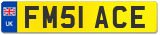 FM51 ACE