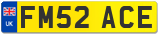 FM52 ACE