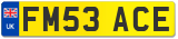 FM53 ACE