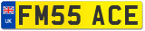 FM55 ACE