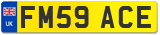 FM59 ACE