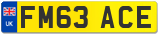 FM63 ACE