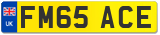 FM65 ACE