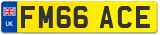 FM66 ACE