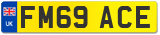 FM69 ACE