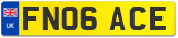 FN06 ACE