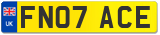 FN07 ACE