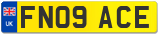 FN09 ACE