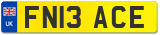 FN13 ACE