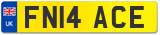 FN14 ACE