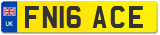 FN16 ACE