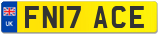 FN17 ACE