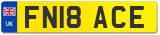 FN18 ACE