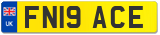 FN19 ACE