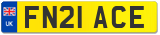 FN21 ACE