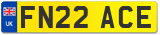 FN22 ACE