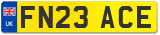 FN23 ACE