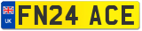 FN24 ACE