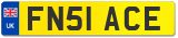FN51 ACE