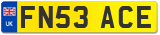 FN53 ACE