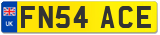 FN54 ACE