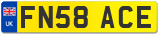 FN58 ACE
