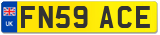 FN59 ACE