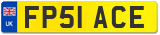 FP51 ACE