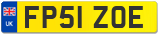 FP51 ZOE