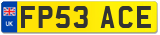 FP53 ACE