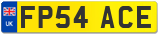 FP54 ACE