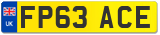 FP63 ACE