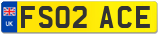 FS02 ACE
