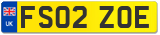 FS02 ZOE