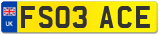 FS03 ACE
