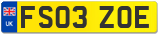 FS03 ZOE