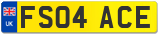 FS04 ACE