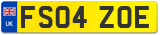 FS04 ZOE